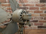 品番2830　ヴィンテージ扇風機　Fan　レトロ　インテリア　ディスプレイ　011