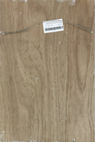 品番0344　サインボード　Lite THE JOE 1979-2017　デトロイトレッドウィングス　木製　看板　ディスプレイ　千葉店